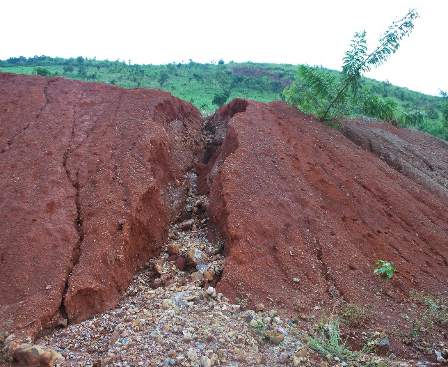 When the Earth Cries: A Story of Landslides and Corporate Neglect in Kikuube