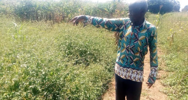 Stripped of Land, Denied Justice: The Wait for Compensation Continues