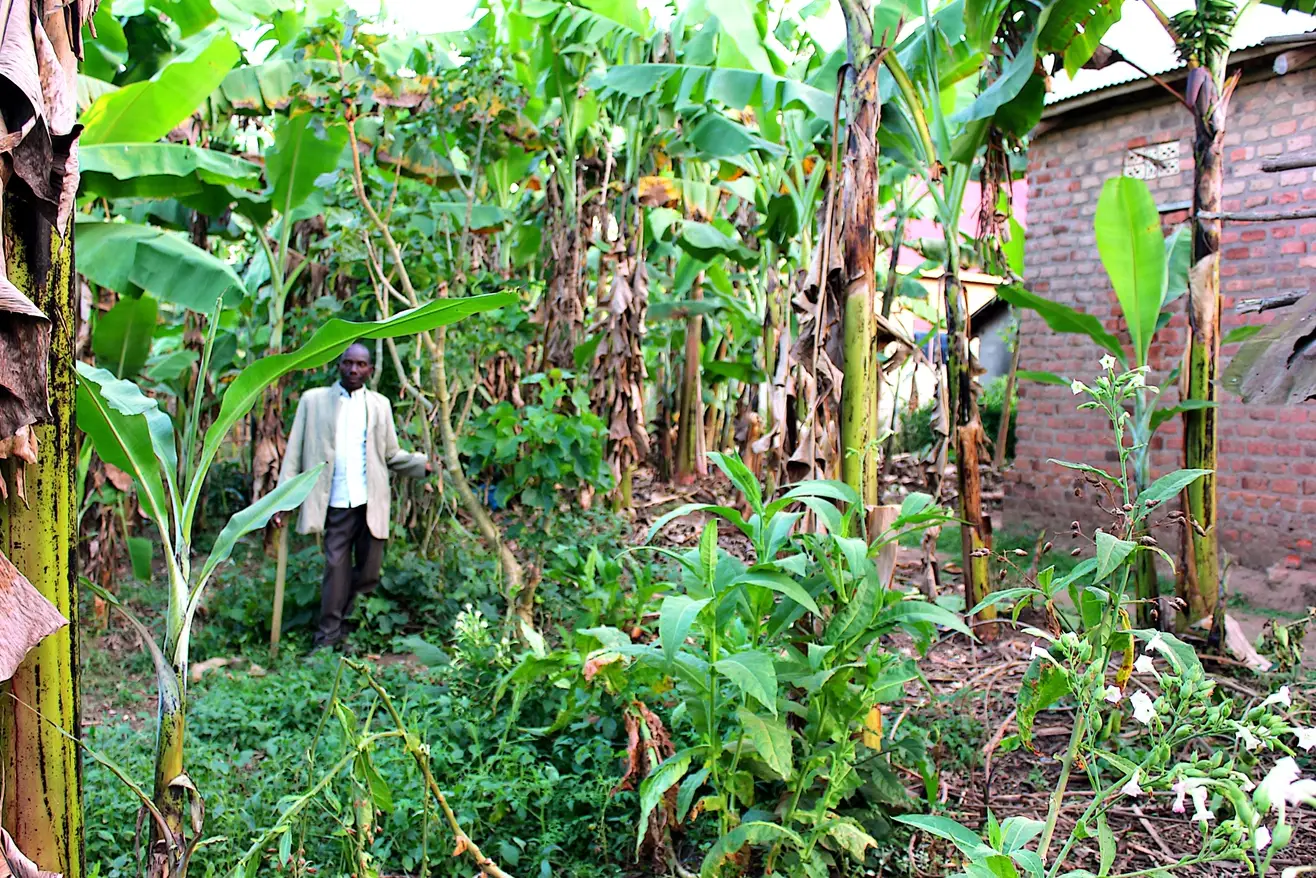 “I Just Have to Wait for It to Be Destroyed”: Lubowa Fred’s Daily Reality Under EACOP’s Shadow