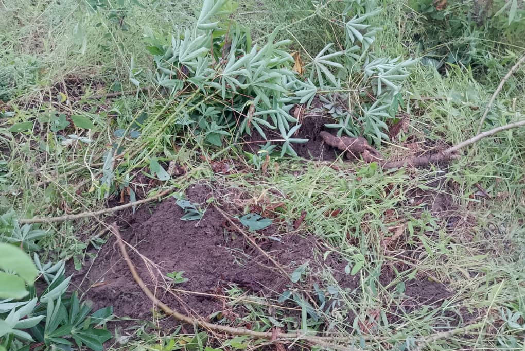 “Our Community Continues to Pay as the Companies Reap the Profits”