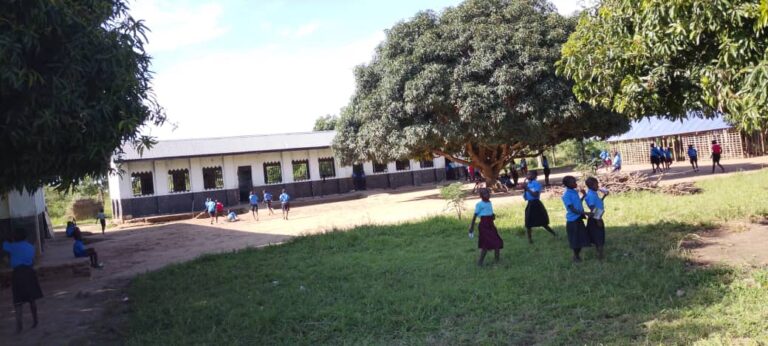Forgotten in the Shadow of EACOP: The Struggle of Kijumbya Primary School